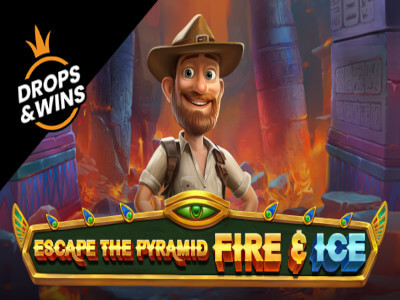 Bet casino online
