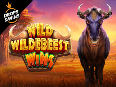 Esporte da sorte apk